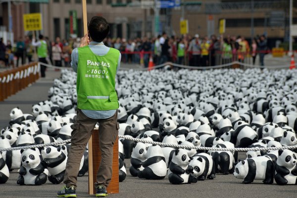 Pandy na Taipeijských uliciach