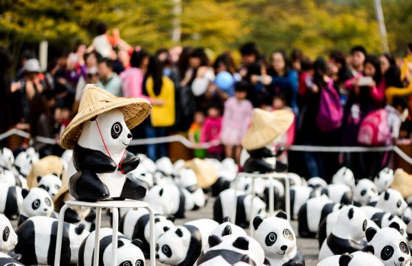 Pandy na Taipeijských uliciach
