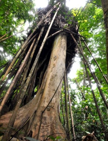 Lesní muži stratení vo vietnamskej džungli