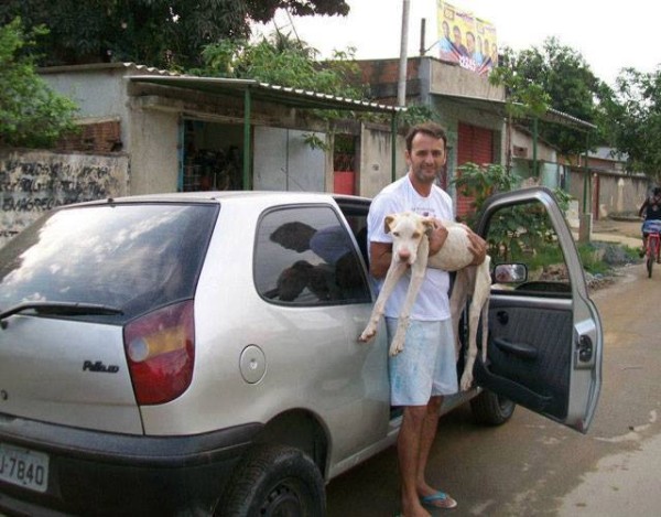 Týraný psík v Rio de Janeiro