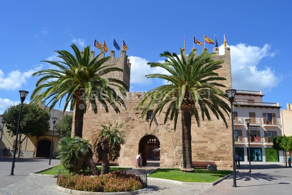 Mallorca Alcudia