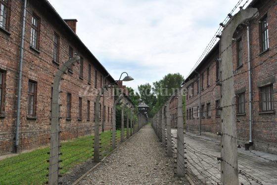 Osvienčim a Birkenau