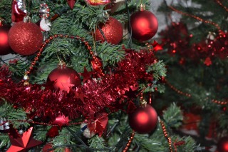 Vianočný stromček u nás doma, stačí malý