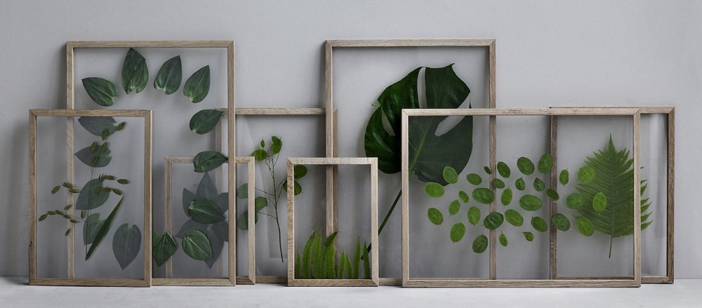 framed-leaves-glass-on-glass