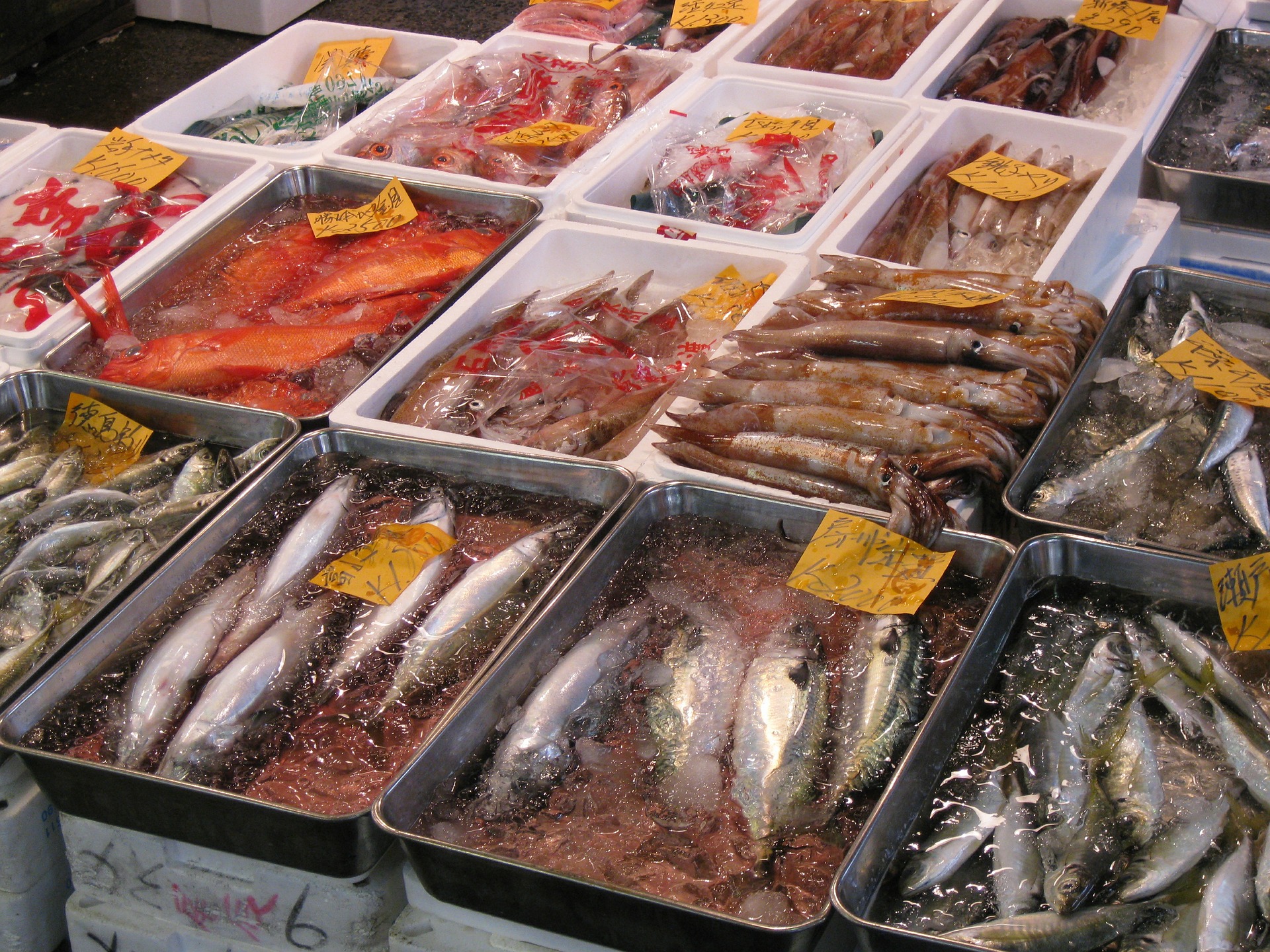 Tsukiji trh s rybami clanok