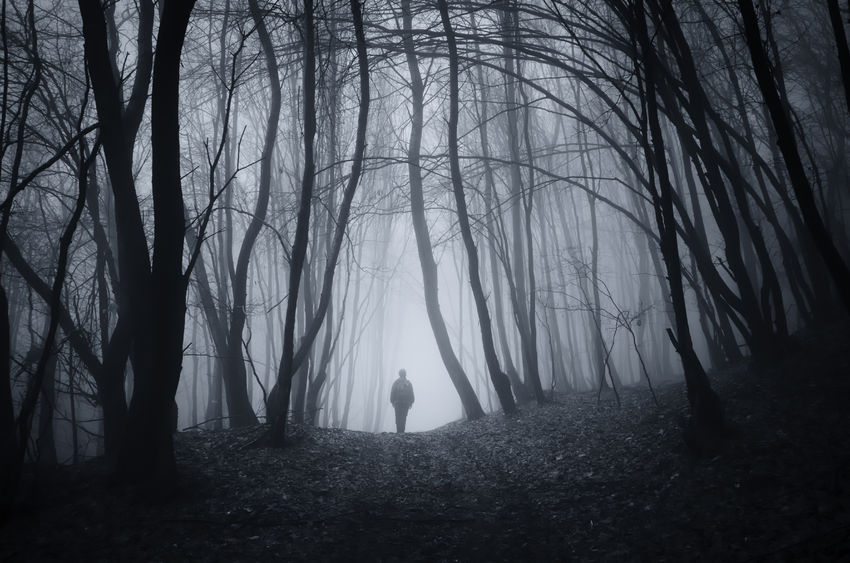 37365937 - man walking on road in dark fantasy horror halloween forest with fog
