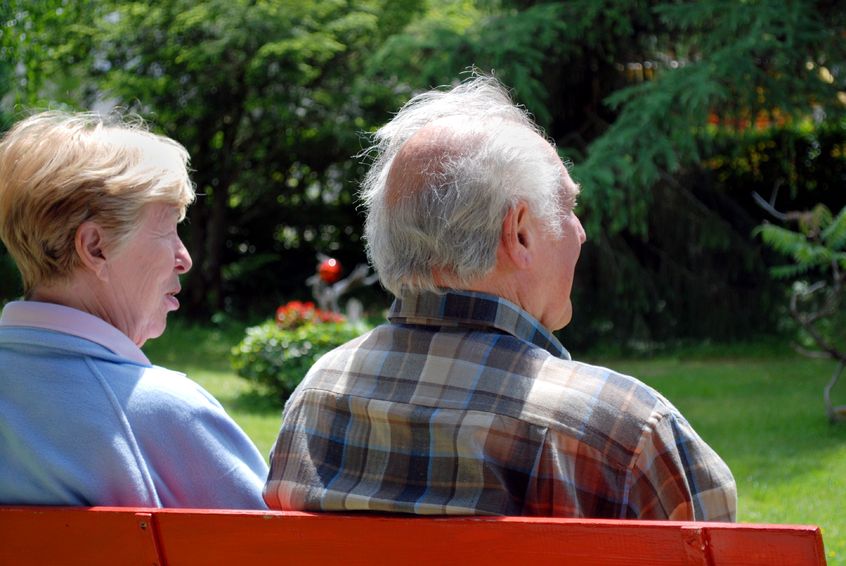 5010946 - elderly happy couple sitting in a park on a bench
