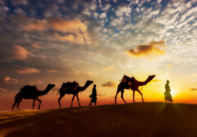 42709190 - travel background - two cameleers (camel drivers) with camels silhouettes in dunes of desert on sunset