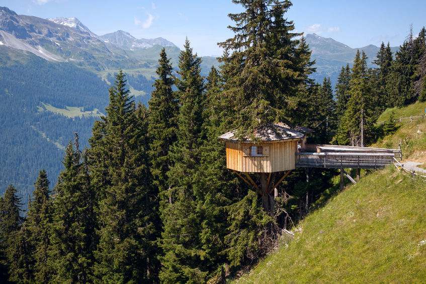 47911919 - alpine wooden treehouse in switzerland