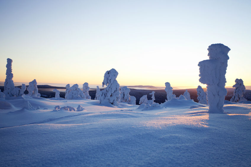 49724413 - cold winter in lapland finland