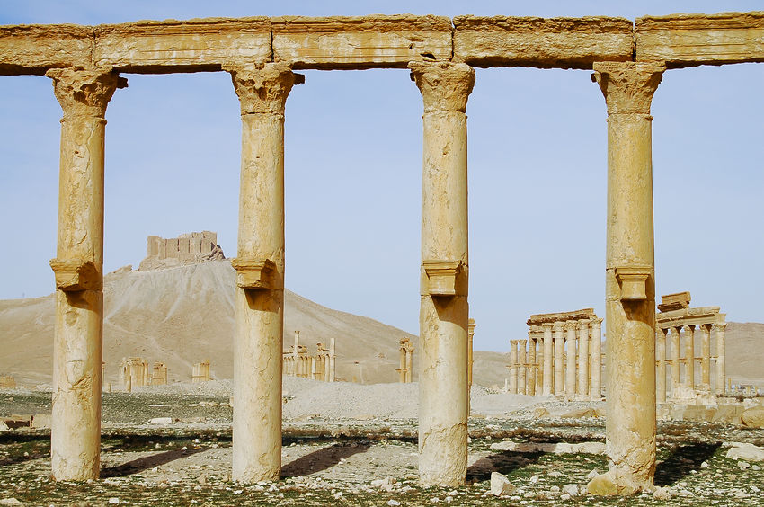 55637200 - palmyra ruins - syria (before civil war)