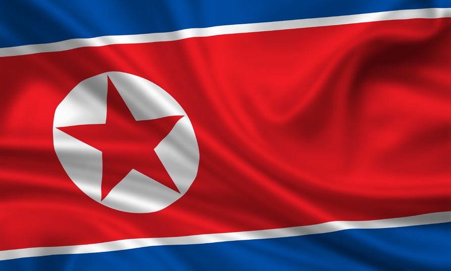 15251117 - waving flag of north korea