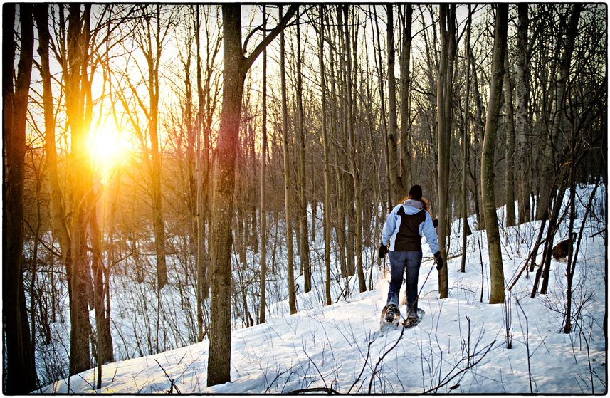 17585628 - snowshoeing in canada at sunset
