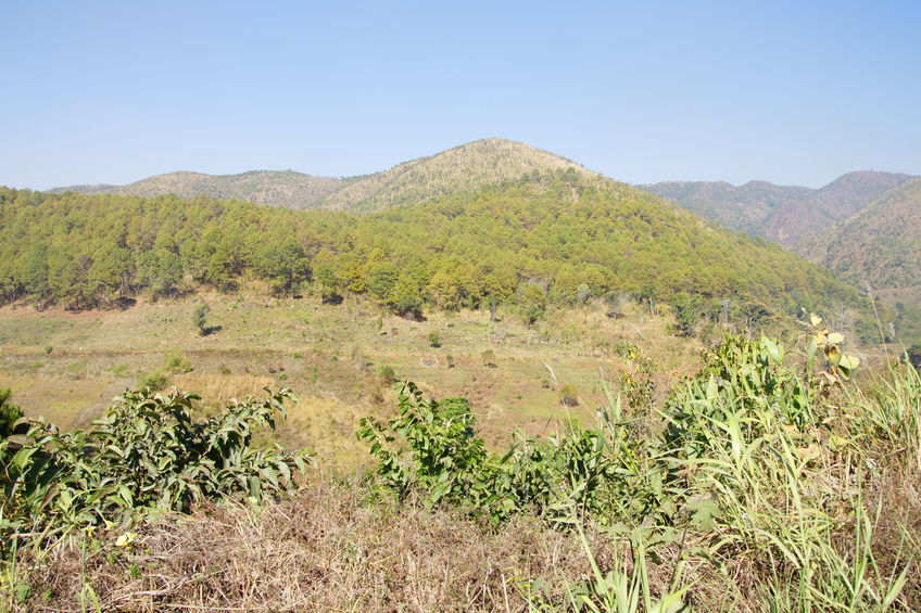 40259950 - scrub jungle mountains and forest near kalaw, myanmar (burma)