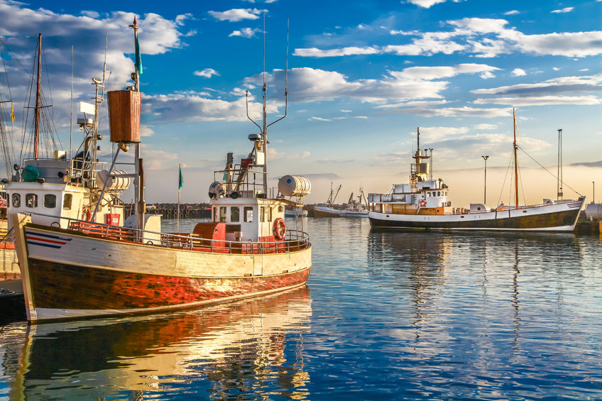 44221431 - panoramic view of traditional old wooden fisherman boats lying in harbor in beautiful golden evening light at sunset, town of husavik, skjalfandi bay, iceland, northern europe