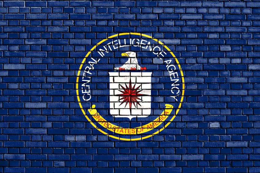 50106114 - flag of cia painted on brick wall