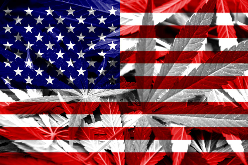 22543514 - usa flag on cannabis background  drug policy  legalization of marijuana