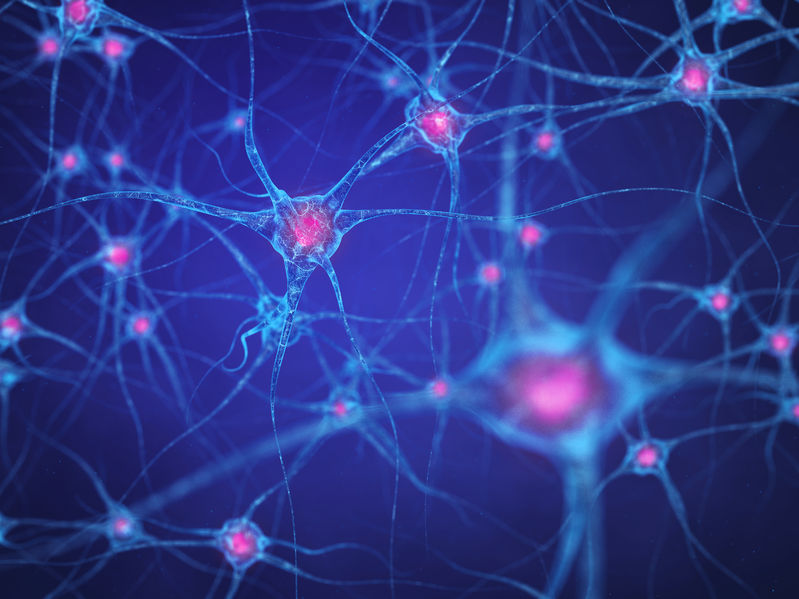 50901441 - neural network , brain cells , human nervous system , neurons