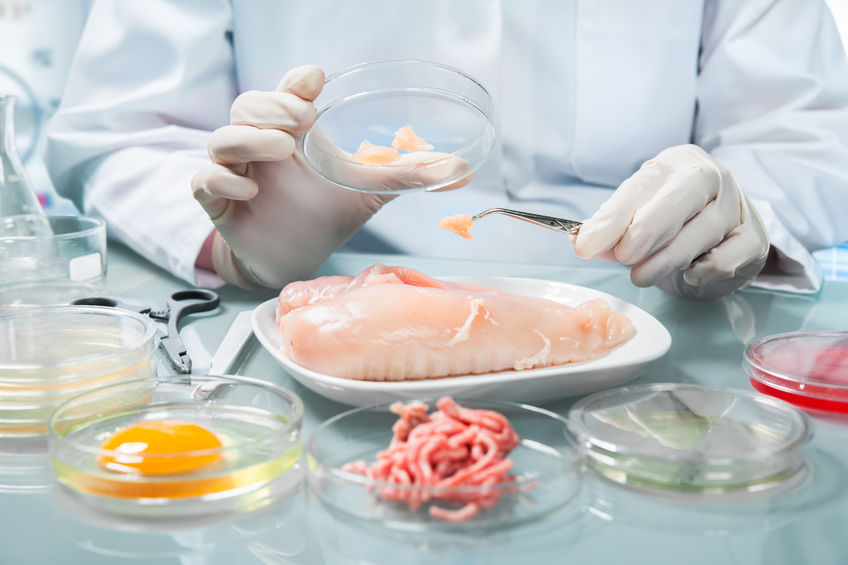 36370828 - quality control expert inspecting at food specimen in the laboratory