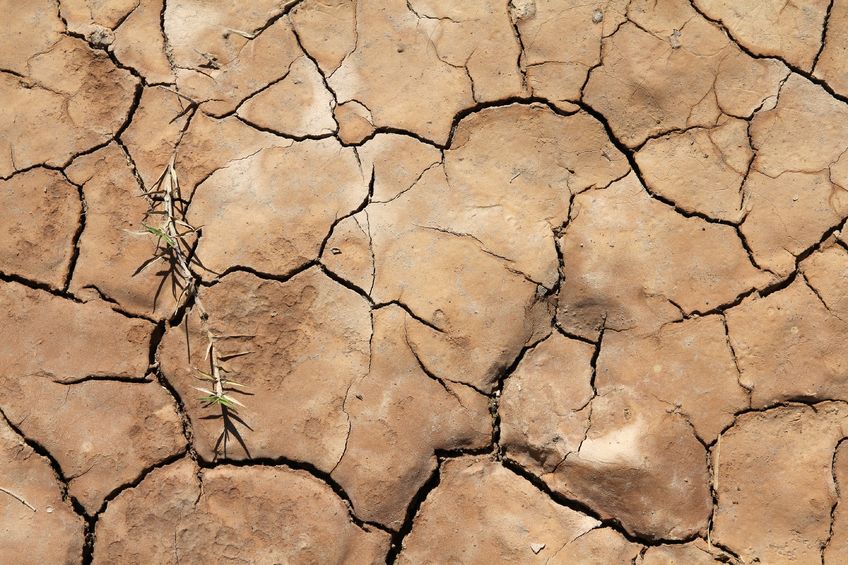 9108106 - greenhouse effect and global warming - dry cracked soil in cuba