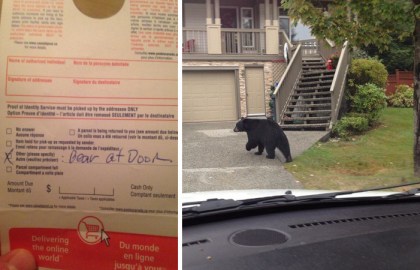 Medveď pri dverách, Kanada