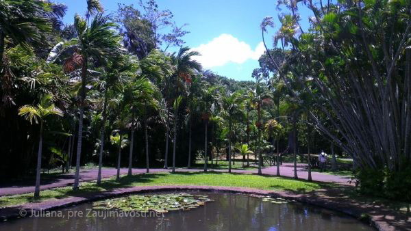 botanicka zahrada ostrov Maurícius