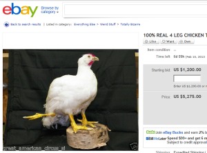 eBay a sliepka so štyrmi nohami