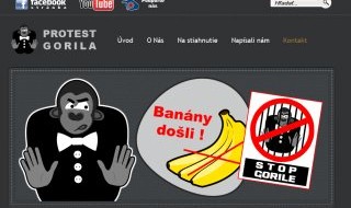 gorila