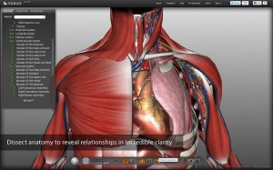 Ľudské telo 3D Biodigital Human