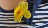 narcis