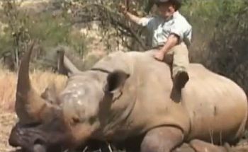 Nechutné zabíjanie nosorožcov