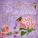 niche parfem – clanok