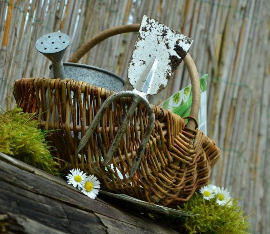 svetovy-den-nahych-zahradkarov