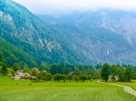 Logarska dolina