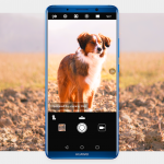 P10_MATE_4.0 copy