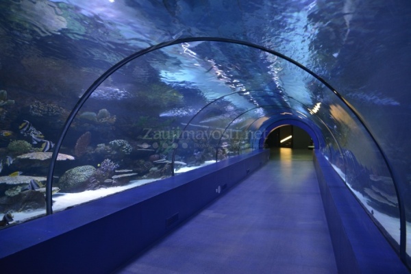 Aquarium Antalya Turecko
