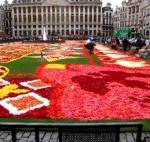 Brusel a kvety