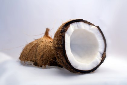 kokos a kokosový orech